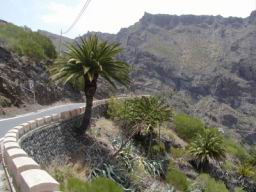 Resize of P1010113.JPG